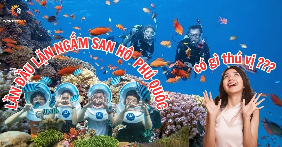 Lặn ngắm san hô Phú Quốc ở đâu? Giá bao nhiêu? Lưu ý gì?